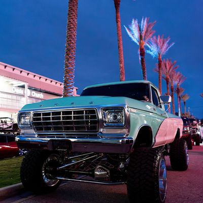 Instagram Image