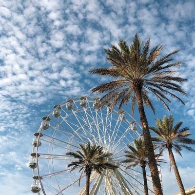 Instagram Image