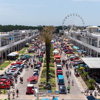 Instagram Image