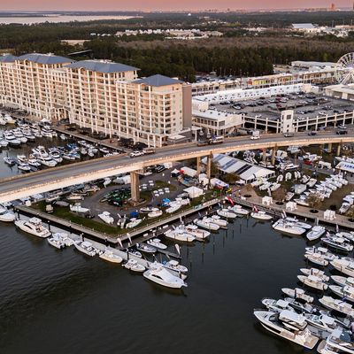 Instagram Image